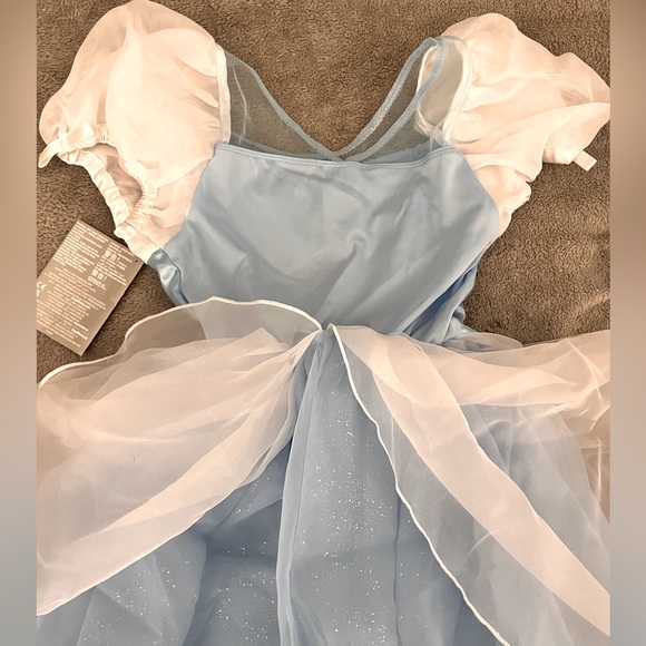 Disney princess Cinderella dress and accessories - Picture 5 of 10